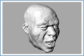 Click to enlarge