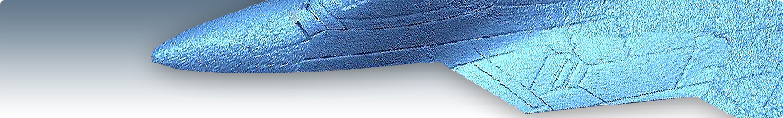 Laser Scanning and Digital Enlargement Services Laser Scanning and Digital Enlargement Services